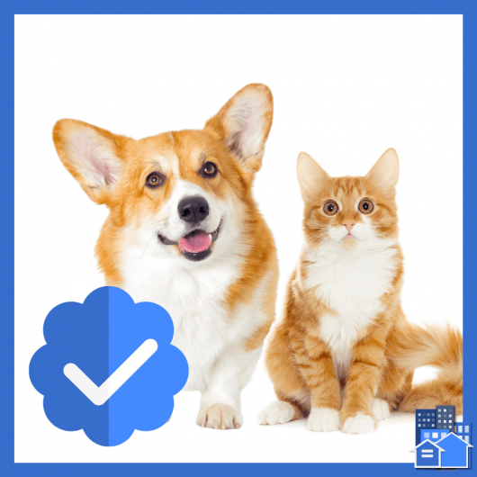 A Corgi dog and an orange and white cat being verified as assistance animals